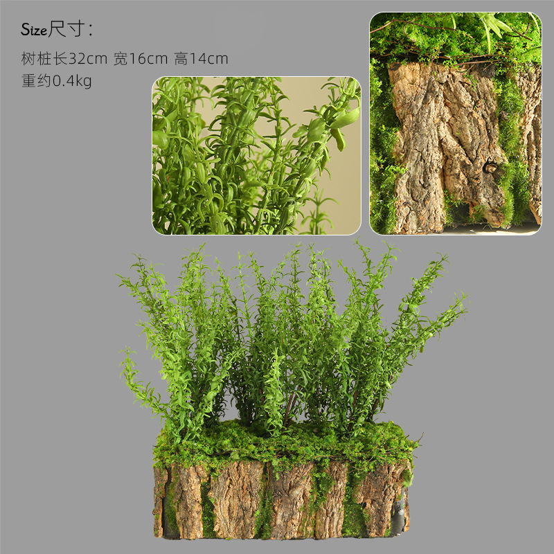 이끼껍질 화분 - 페르시아 녹색 잎이 있는 32×16×14cm
