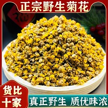 �S�ջ�Ұ�ջ���ș�����^��ƷҰ��С�ջ���ș��̥�����ݲ�ˮ��