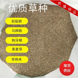 �²ɲ�ƺ�ݷN�� �첥 ����é ������ ���~�� ������ ����̲ݷN��