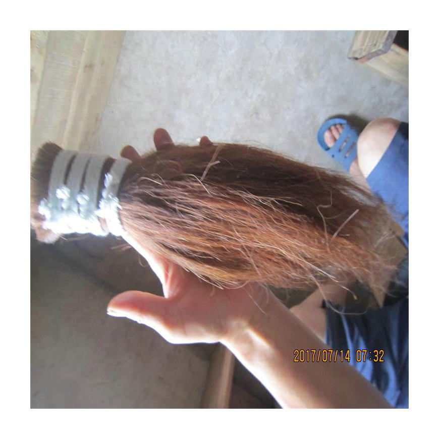 Manufacturers supply ox tail hair 5 "-7"