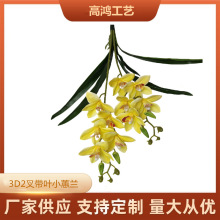 3dӡ2控~ޥmҾӔ[O滨cb廨zӰߏSa