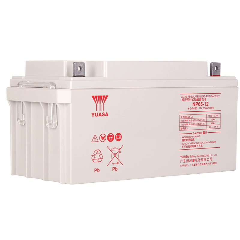 ，NP65-12，（），12V，65AH，EPS
