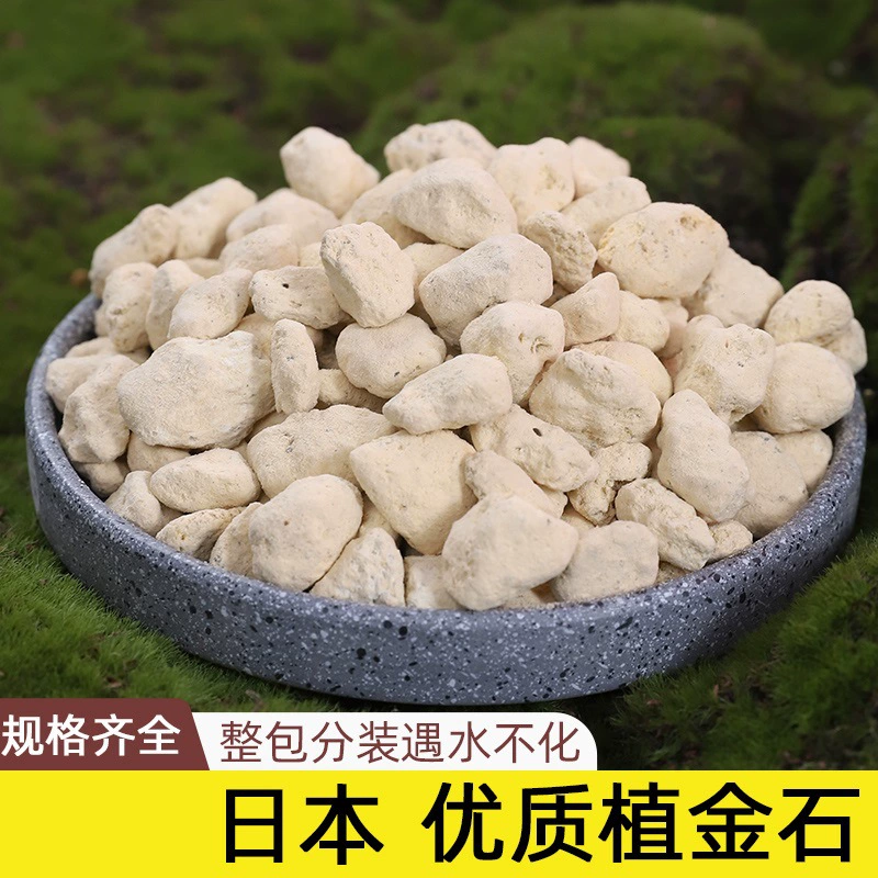 Бесплатная доставка для посадки каменных орхидей