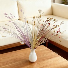 40�^Ψ�������ȸ�ݻ�c�b��߶�ʝu׃�Pβ�JȔ�ݟ������[��