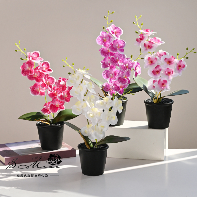12 flores Phalaenopsis planta en maceta flor de simulación creativa decoración de estudio fotográfico para el hogar decoración planta verde artificial simulación planta en maceta
