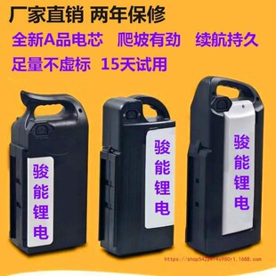 台鈴綠源愛瑪電動車鋰電池大容量鋰電池48v大容量全新多功能天能