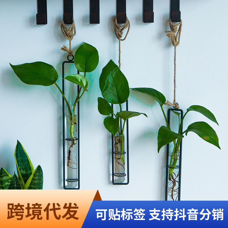 Creative Iron Glass Vase Vulcan Single Rope Pendo Living Room Wall…