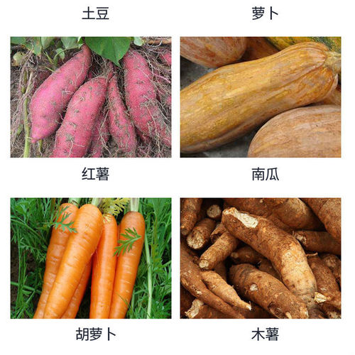 9WOR electric cassava grater, potato, sweet potato, radish, sweet potato shredding, hand-operated cassava grater, sweet potato slicing machine