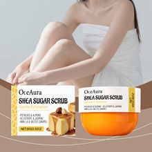 OCEAURA����ζ��ľ�������wĥɰ�� �غ��坍���w���w�Ử��ā���o