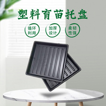 �L������������Ѩ�P�бP���Q�����̨��ͥ�@ˇ����С���P�����бP