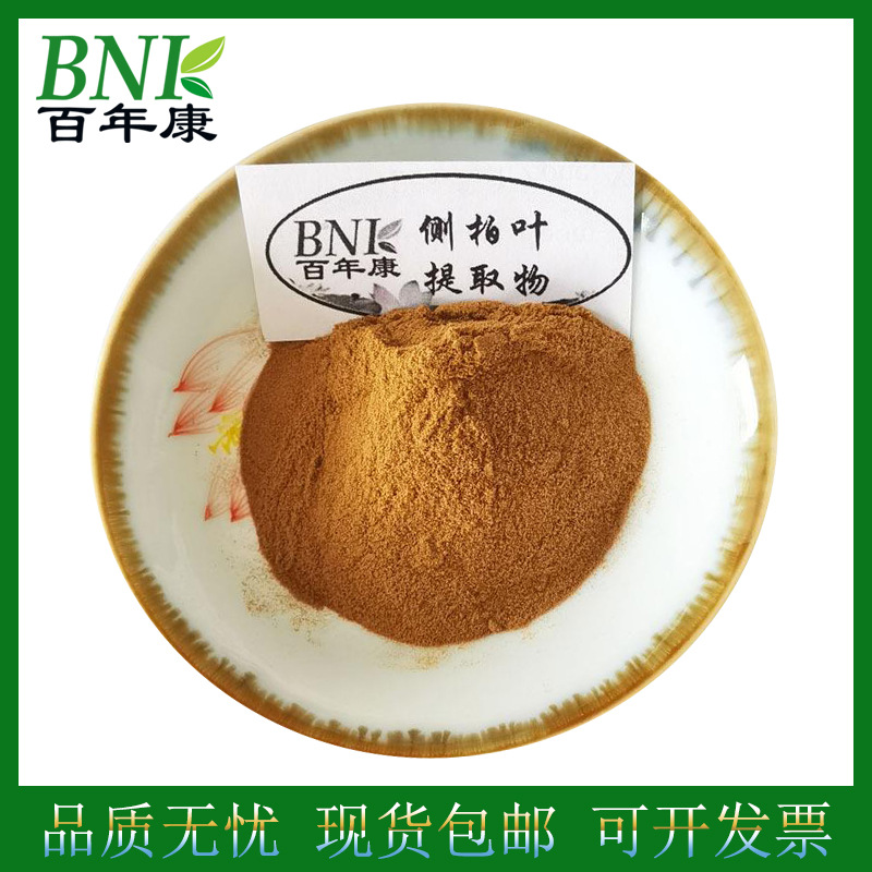 侧柏叶提取物 10：1 侧柏叶粉 侧柏叶萃取粉香柏扁柏柏树提取