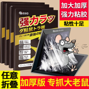 �M���zˮ����ճ����ճ����zճ�������N������������һ�C������