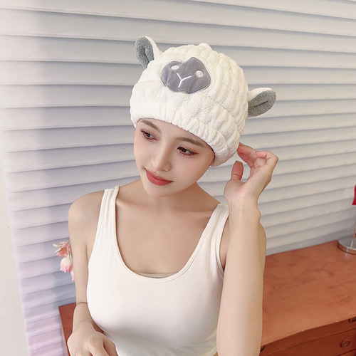 Hair Dry Cap Children's Coral Velvet Cartoon Shower Cap Rabbit Ears Dry Hair Cap Wholesale Adult Women's Hair Dry Towel One Piece Dropshipping