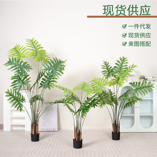 ����Gֲϲ���������p���L�҃ȿ͏d����b[������Gֲ���l