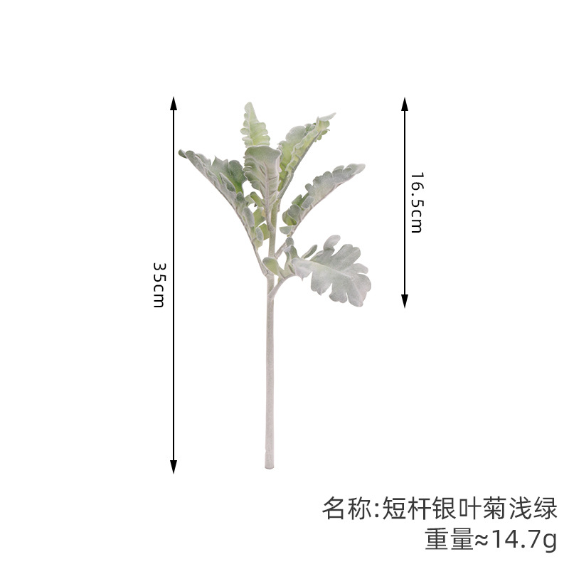 짧은 줄기 은박 국화 연두색