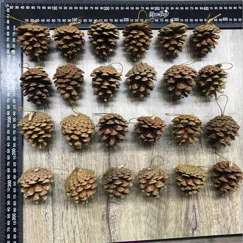 Procesamiento y embalaje de piñas Flores secas personalizadas Pinus olinus americano Pinus olisina local Pinus scale hilo colgante de piñas naturales image 13