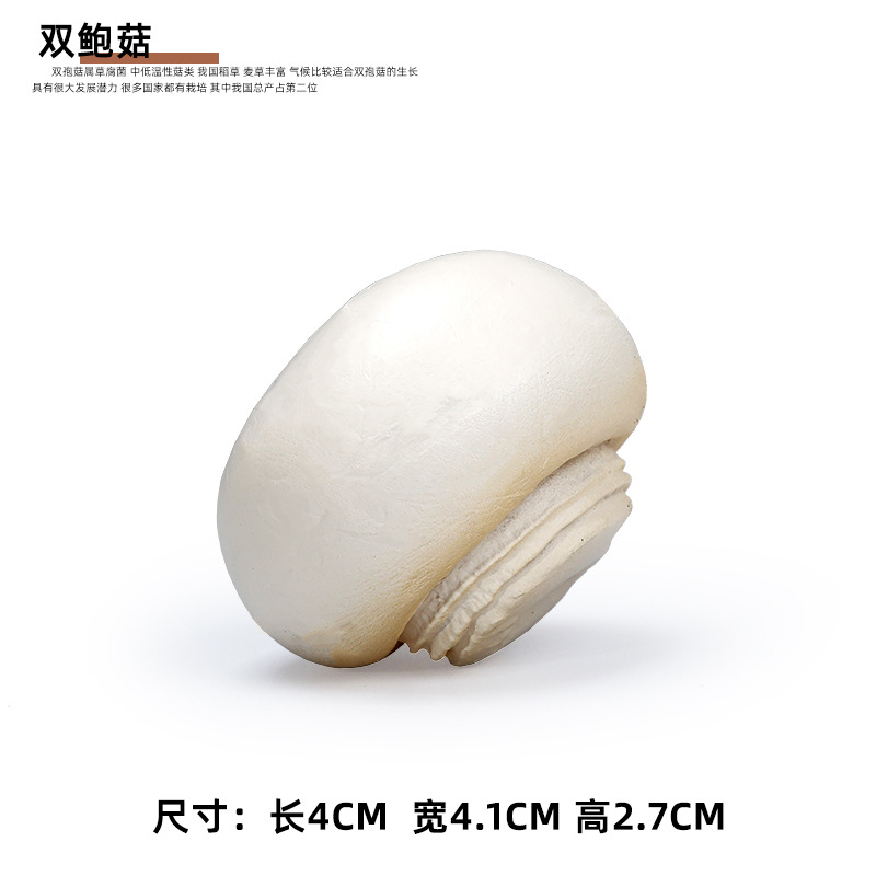 Agaricus 비스포러스