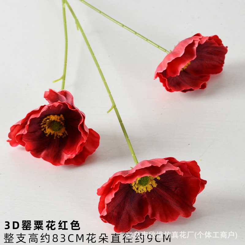 3d poppy red