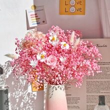 ��ɫϵ����õ��M���Ǹɻ������Ҿ��b���β���滨�������_�m����
