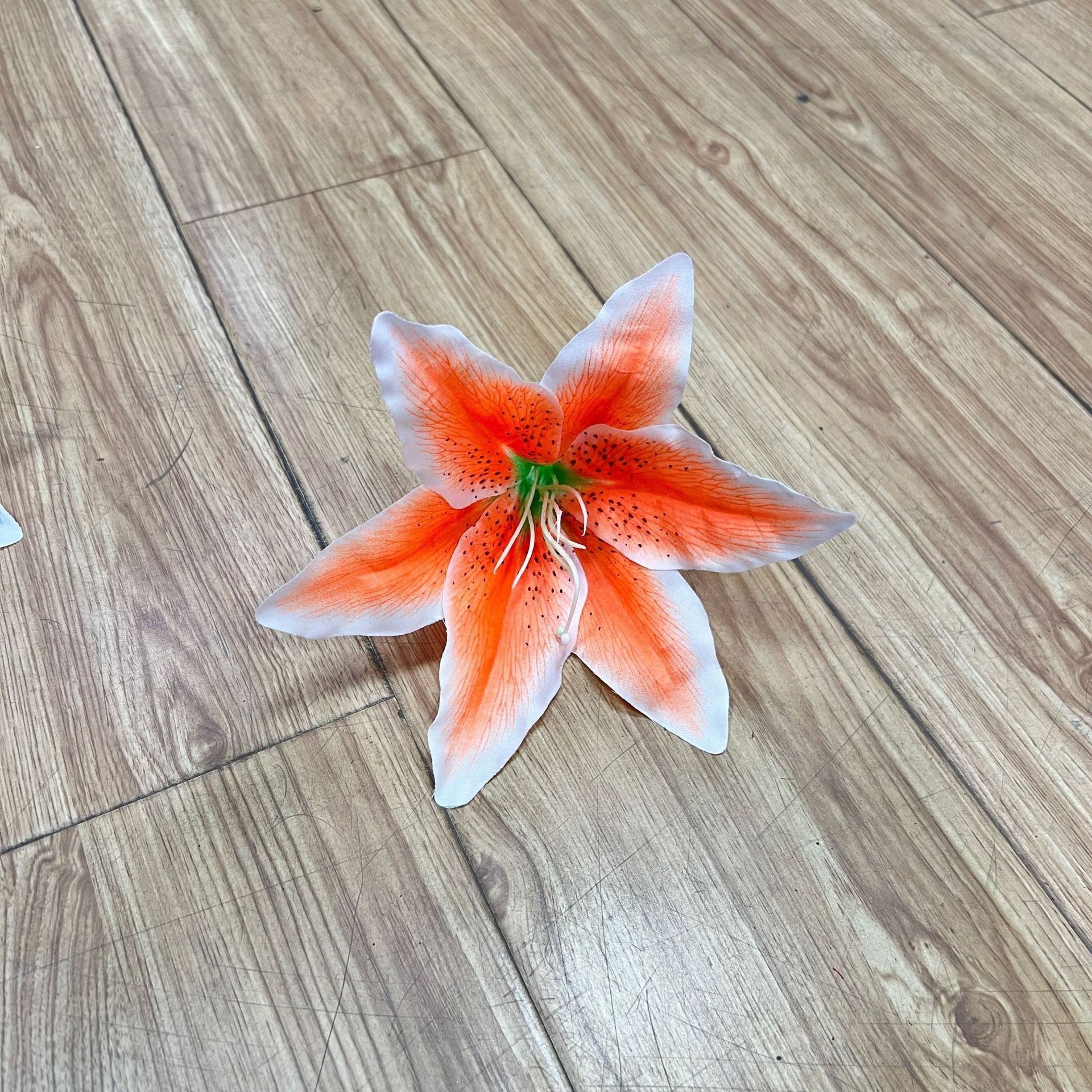 오렌지 (코어 준비)