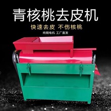 新款青核桃去皮清洗一体机商用全自动核桃剥皮机小型核桃脱皮机