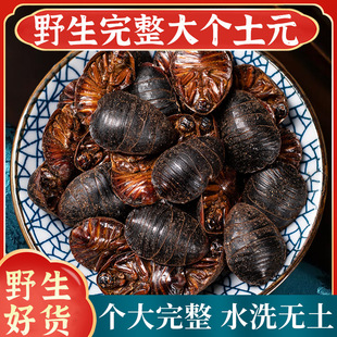 ���M�x��ș��500g��Ԫș�����M�x�����A���M�ӵ��M�x�����x