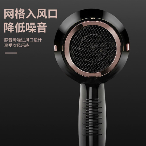 New Style Hair Salon Hotel Constant Temperature High Wind Power Blue Light Rapid Dry Negative Ion High Power Household Hair Dryer