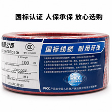 �ϾW��|����BV1mm&sup2;���300/500V�~о���b��ȼ��������늾�100��