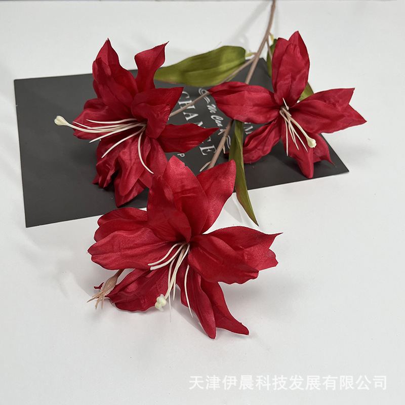 3개의 머리 백합-빨간색