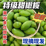 新鲜甜种橄榄青橄榄果青果煲汤潮汕特产现摘生吃回甘水果