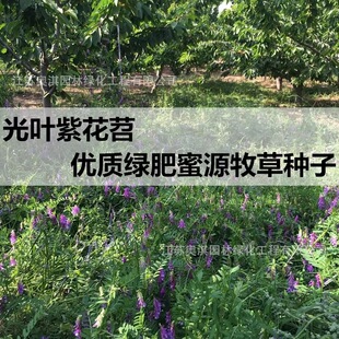 ���l���ݷN�� ���~�ϻ����ӷN�� ��Դ֭���B��������� ���lѿ