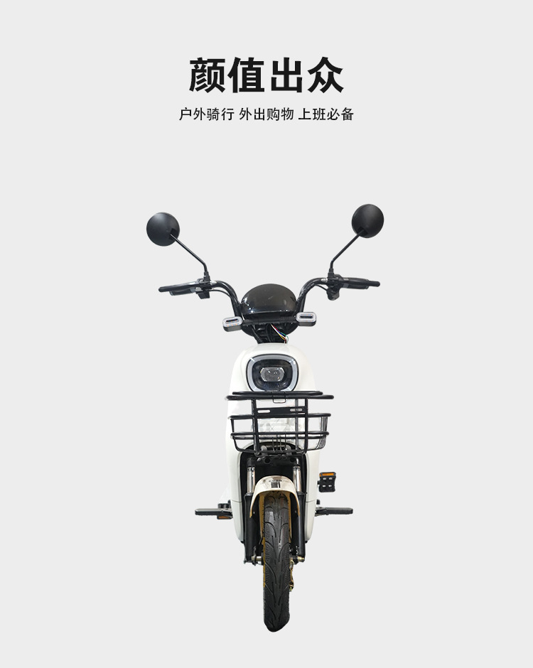 Two-wheeled Electric Vehicle, Adult Transport