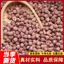 红莲子 去芯红莲子无心干货红莲新货红皮莲子中药材批发代发