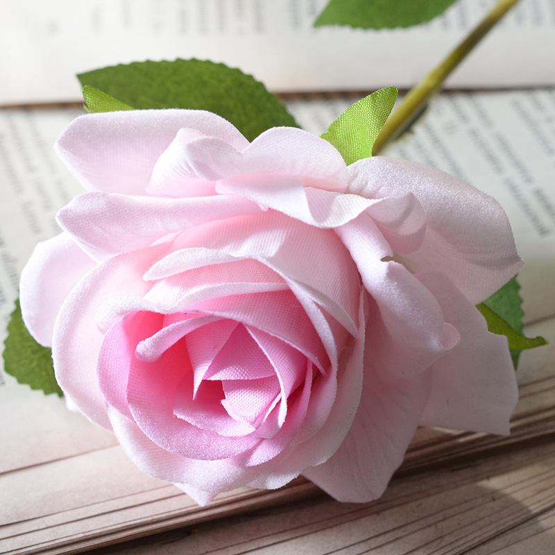 Aisha rose powder core