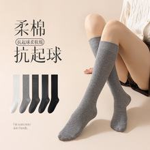 �ﶬjk�p��m��Ů��������ŮС���m���s��l���m�ٴ��ϵ�Ѷ��m