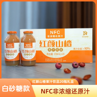 �]�г��Ӽt�ɽ髹�֭�Ʒ��ɰ�ǿ�318ml