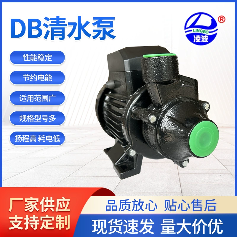 1DB-45 Lingbo Brand Vortex Бытовая чистая водяная помпа 550 Вт Малый поток 45 м с Высокой Головкой
