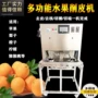 双工位苹果雪梨去核机