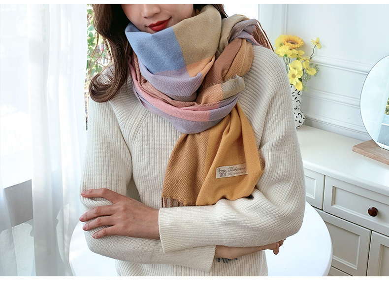 Women's Casual Simple Style Color Block Imitation Cashmere Tassel Scarf display picture 4