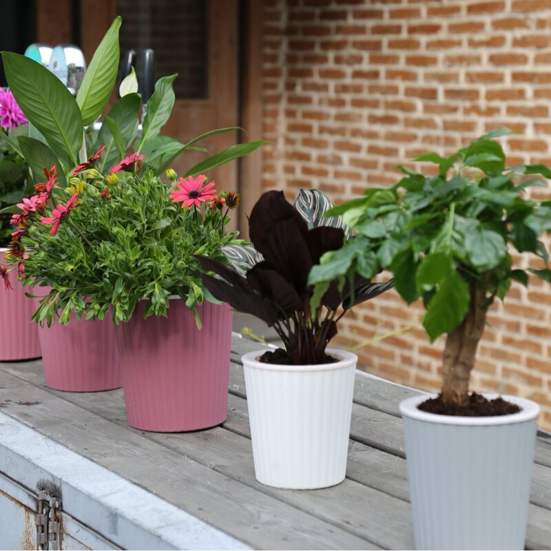 Vertical Pattern Lazy Pot Scandinavian Style Lazy Flower Pot Automatic Water Absorption-Free Watering-Free Water Storage Basin Pothos Pot Hot Planting Set Pot