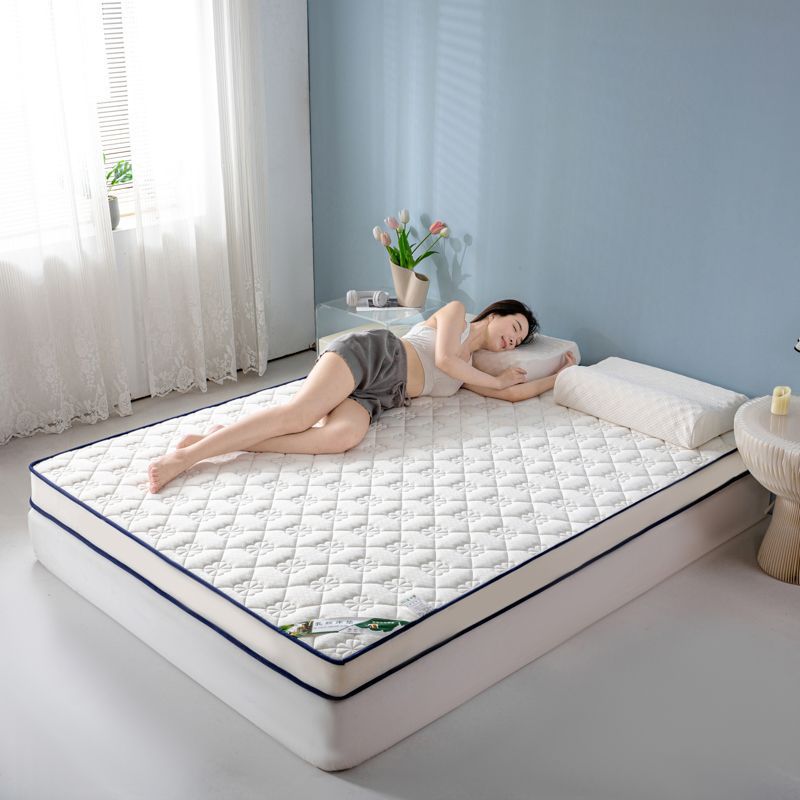 Memory Mattress for Home Use, Soft Cushion for Double Bed, Thickened for Student Dormitory, Single Tatami Memory Foam Mattress Topper