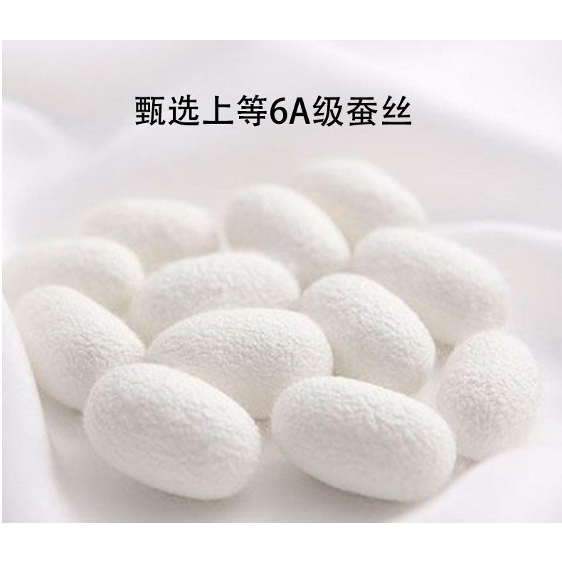 WAF212255金丝流苏短袖 (12).jpg