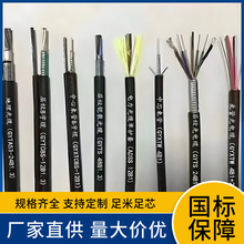 ���׌ӽgʽ�z�bGYTA/S-134-144�V����|���| GYTA53-48B1������|