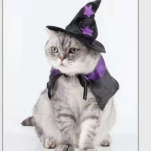 Foreign trade pet supplies pet Halloween hat cat hat Christmas cape dog hat funny cat