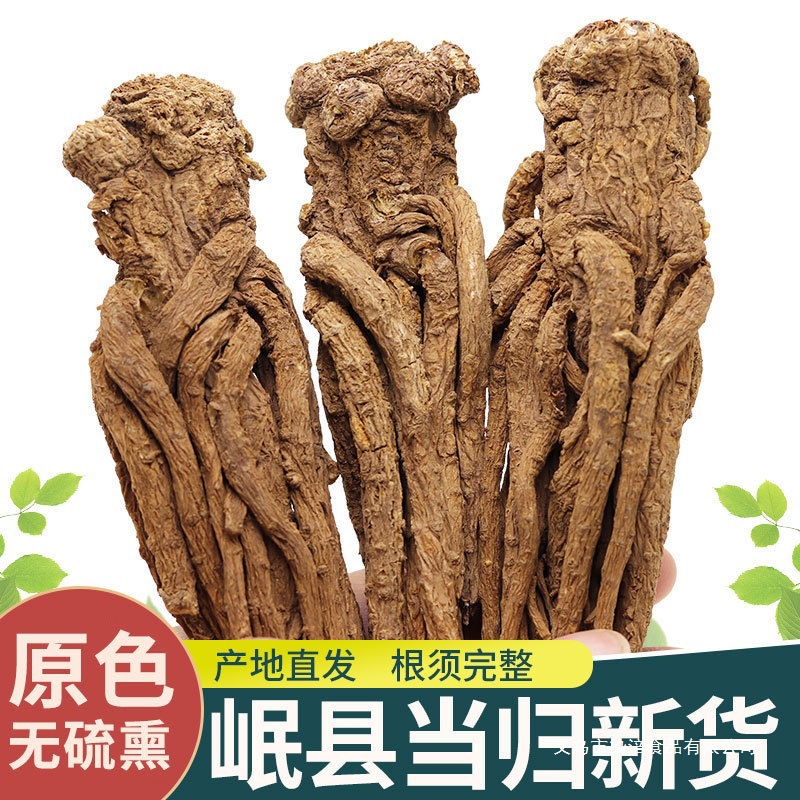 Wild Angelica 500g, Chinese Herbal Medicine Wholesale, Direct Supply from Gansu Minxian, Sulfur-Free Angelica for Soup and Infusion, in Stock