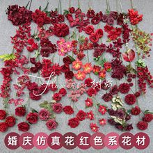 �tɫϵ���滨Ī�λ��@��Y�û��@�����b��̷��滨õ�廨����