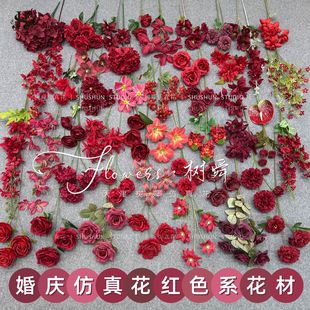 �tɫϵ���滨Ī�λ��@��Y�û��@�����b��̷��滨õ�廨����