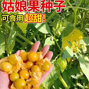 �r��С������N���S������N���ش����������\���ļ�ˮ���N��