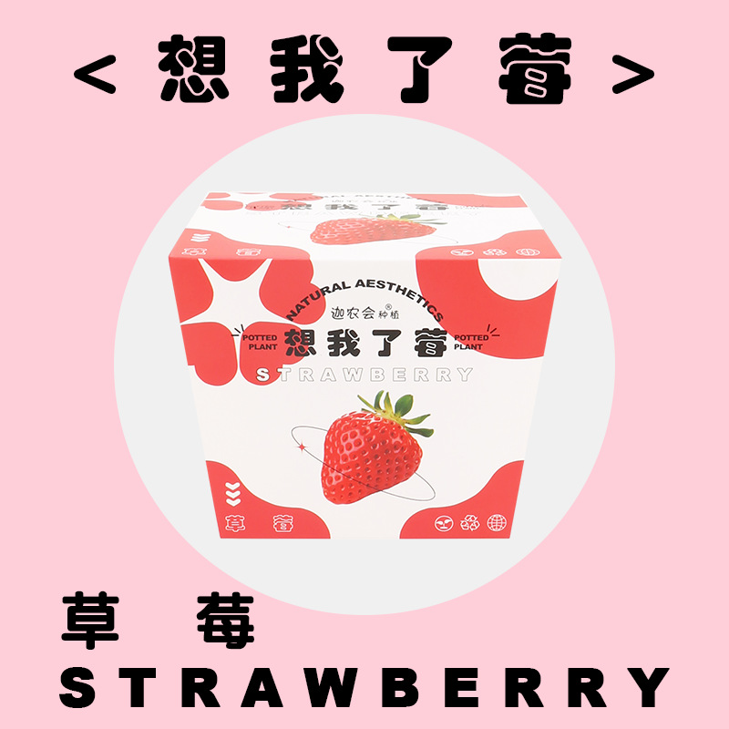 미스 나 라즈베리 (딸기)