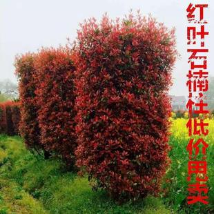 �t�~ʯ��������С������G�hֲ��ߗU�ļ�����ͥԺ�G�����B�׻�